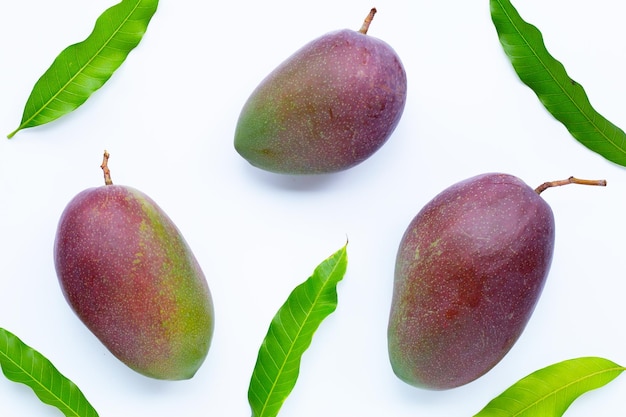 Tropische Frucht Mango auf weißem Hintergrund