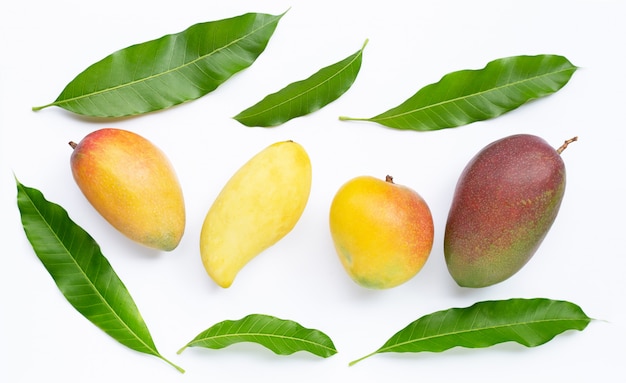 Tropische Frucht, Mango