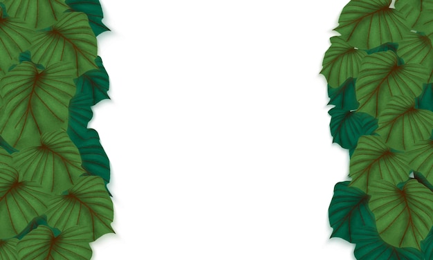 Tropische grüne Blätter handgezeichnete Grenze mit leerem Leerraumhintergrund