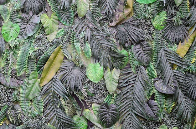 Tropische grüne Blätter