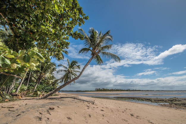 Tropische Insel Boipeba im Nordosten Brasiliens in Bahia.