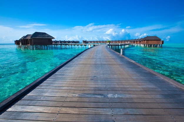 Tropische Insel der Malediven mit Strand