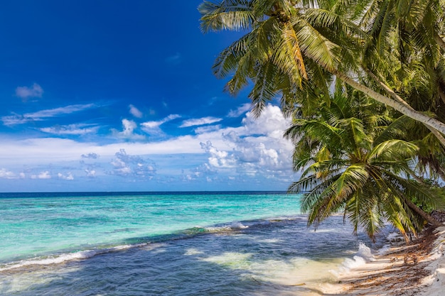 Tropische Insel der Malediven mit weißem Sandstrand und Meer. Paradiesstrand mit Palmen, erstaunliches Meer