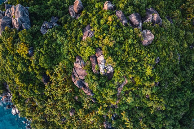 Tropische Insel- und Meerblickform oben