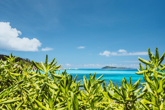 Tropische Küste auf der Insel La Digue, Seychellen, üppige grüne Vegetation, türkisblaues Meer und einsam