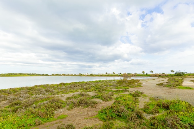 Tropische Küste, Strand