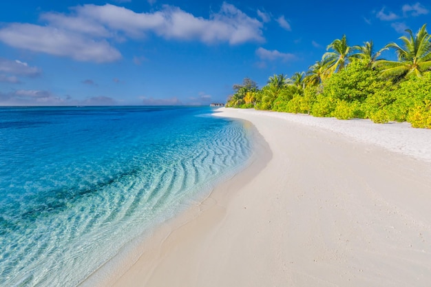 Tropische Landschaft der Sommerlandschaft, weißer Sand mit Palmen. Luxusreise Urlaubsziel