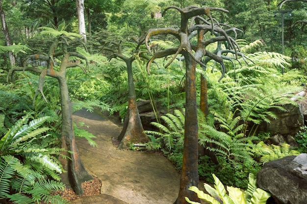 Tropische Landschaft mit künstlichen Bäumen im berühmten botanischen Garten von Singapur