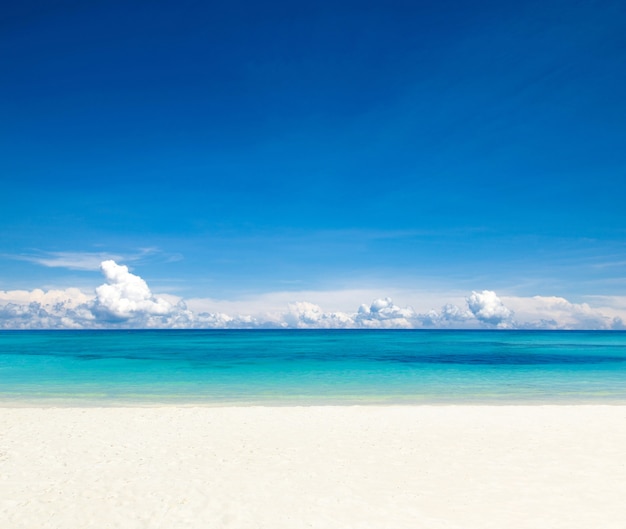 Tropische Malediven-Insel mit weißem Sandstrand und Meer