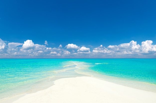 Tropische Malediven-Insel mit weißem Sandstrand und Meer