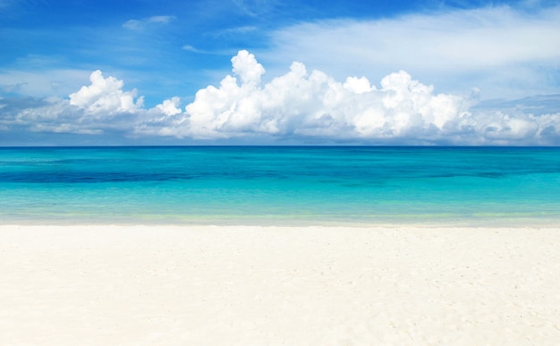 Tropische Malediven-Insel mit weißem Sandstrand und Meer