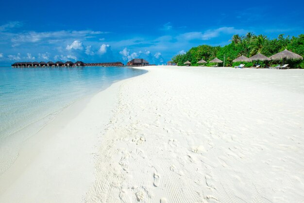 Tropische Malediveninsel mit Strand