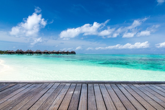 Tropische Malediveninsel mit weißem Sandstrand und Meer