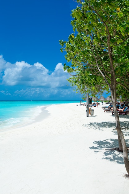 Foto tropische malediveninsel mit weißem sandstrand und meer