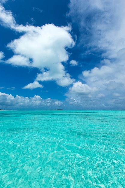 Tropische Malediveninsel mit weißem Sandstrand und Meer