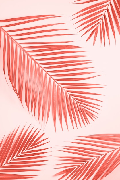 Tropische Palmblätter auf gelbem Pastellhintergrund.