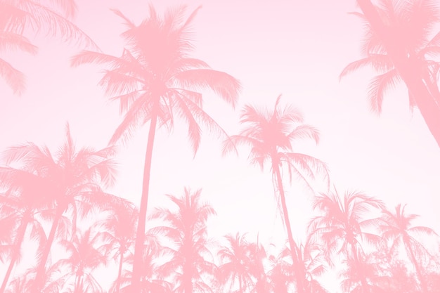 Foto tropische palmen kokospalmen auf sonnenuntergang himmelsfackel und bokeh natur bunte kopie raum sommer konzept hintergrund