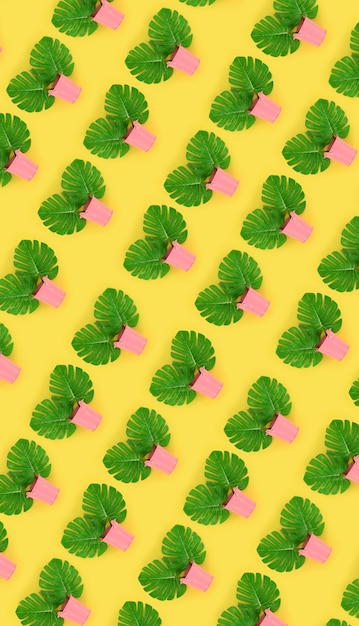 Tropische Palmmonsterablätter liegen in den Eimern eines Pastells auf einem farbigen Hintergrund