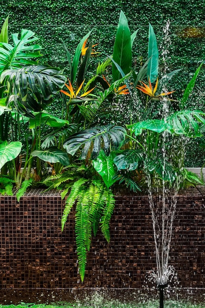 tropische Pflanzen und ein Springbrunnen als Teil einer Innendekoration Blätter und Blumen aus Kunststoff