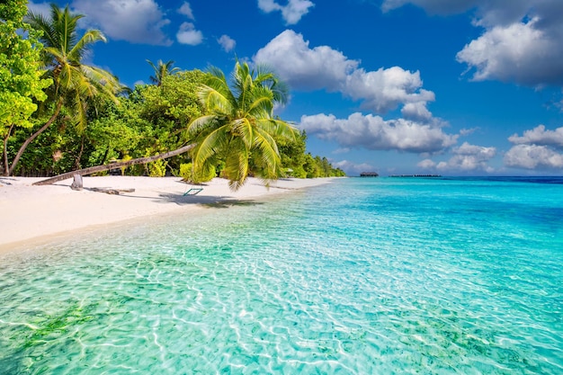 Tropische Strandinsellagune Sommerlandschaft mit Strandschaukel, weißem Sand, ruhigem Meereshimmel