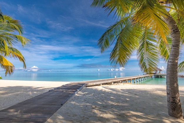 Tropische Strandküste, Malediven. Brückenweg in die ruhige paradiesische Insel. Palmen, Meeresbucht