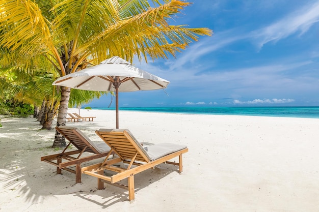 Tropische Strandnatur als Sommerlandschaft mit Liegestühlen und Palmen, ruhige Seepaarreise