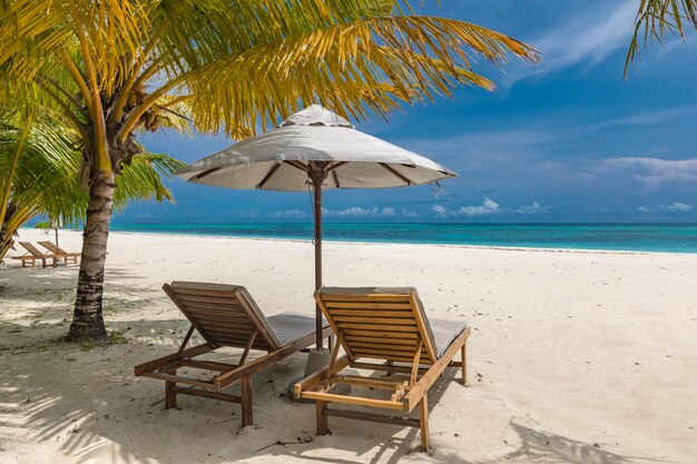 Tropische Strandnatur als Sommerlandschaft mit Liegestühlen und Palmen, ruhige Seepaarreise