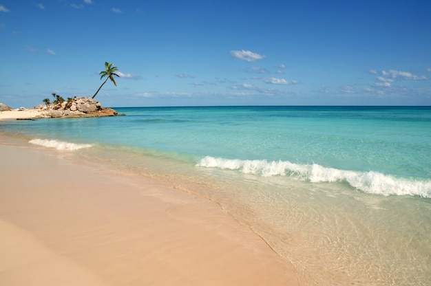 Tropische Strandpalmen Tulum Mayan Riviera