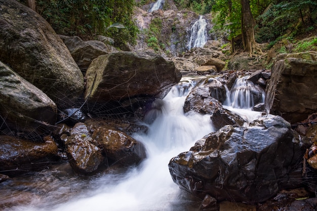 Tropische Waldlandschaft mit einem Wasserfall unter Steinen und Spinnennetzen