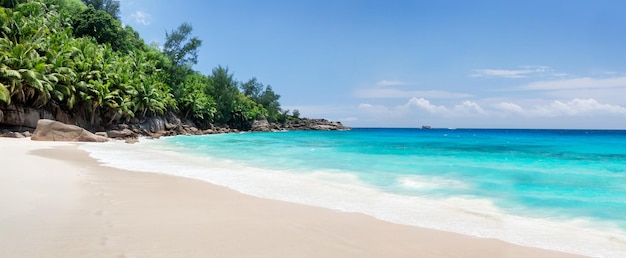 tropischen Strand mit Palmen