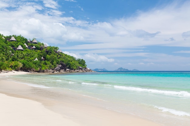 tropischen Strand mit Palmen