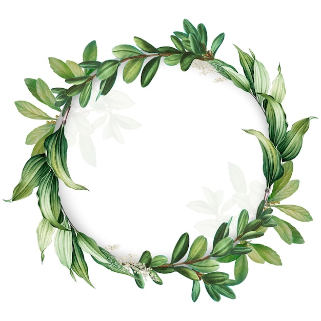 Tropischer botanischer Kranz durchsichtig png