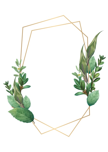 Tropischer botanischer Rahmen durchsichtig png