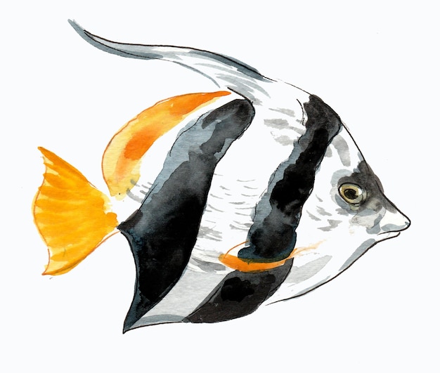 Tropischer Fisch. Tusche- und Aquarellzeichnung