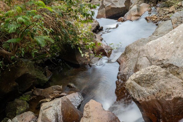 Foto tropischer flussfluss auf semarang zentraljava mit grünem blatt und flussstein