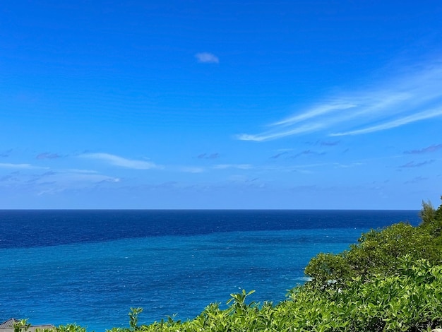 Tropischer heller Himmel und blaues Meer mit grünen Blättern