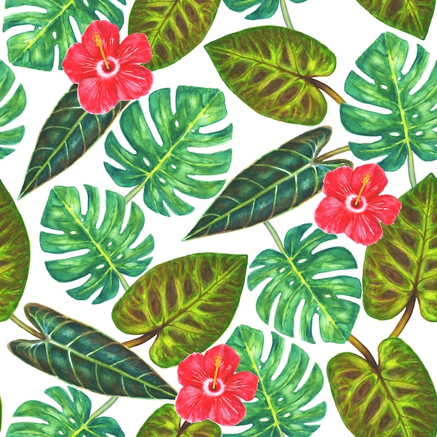 Tropischer Hintergrund Tropische exotische grüne Blätter von Monstera und Philodendron und Hibiskusblüten auf weißem Hintergrund Aquarell handgezeichnete Illustration