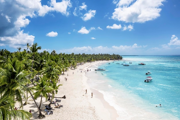 Tropischer karibischer Strand