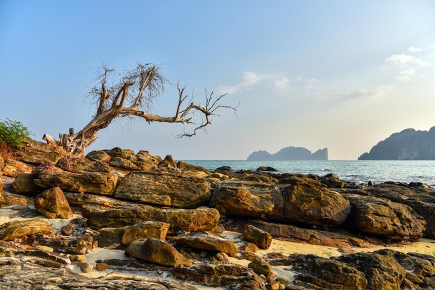 Tropischer Paradiesstrand Thailand-Meerblicklagune