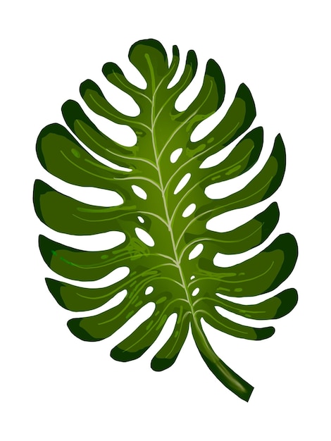 Tropischer Philodendronblatt png-Illustrations-Aufkleber mit durchsichtigem Hintergrund