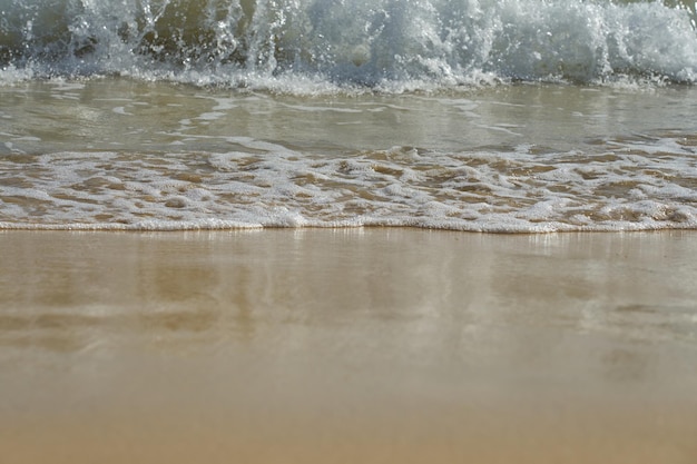 Tropischer Sandstrand mit klarem Wasser als Kulisse