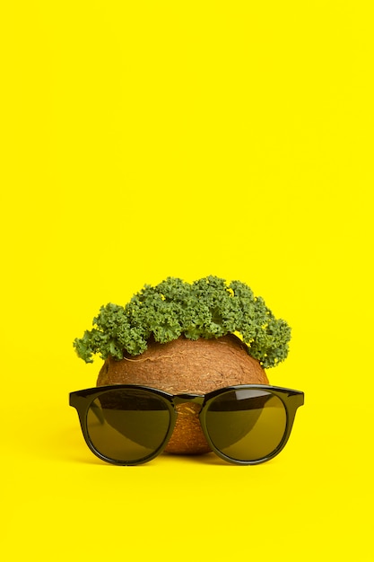 Tropischer Sommerhintergrund. Sonnenbrille, Kokosnuss und Grünblätter auf einem gelben Hintergrund. Lustiges Gesicht aus Früchten. Minimales kreatives Konzept