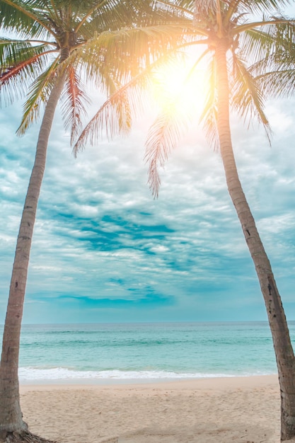 Tropischer Sommerstrandsand und schöner Himmel mit Kokospalmenhintergrund