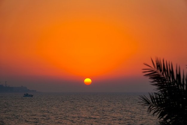 Tropischer Sonnenuntergang im Arabischen Golf. Dubai