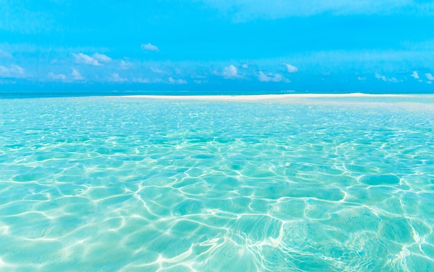 Tropischer Strand auf den Malediven mit wenigen Palmen und blauer Lagune