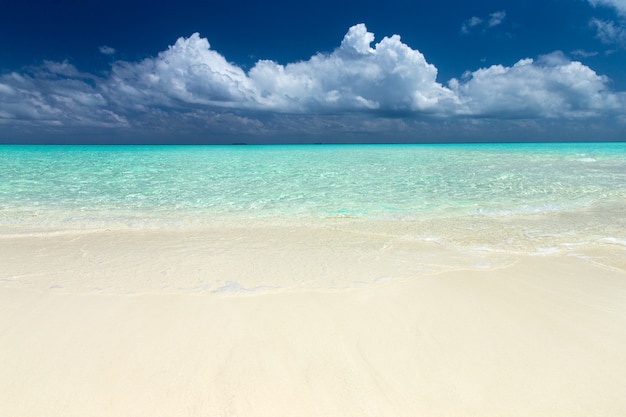Tropischer Strand auf den Malediven mit wenigen Palmen und blauer Lagune