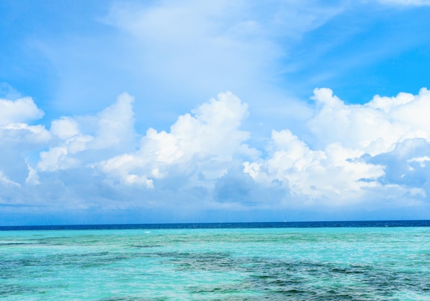 Tropischer Strand auf den Malediven mit wenigen Palmen und blauer Lagune