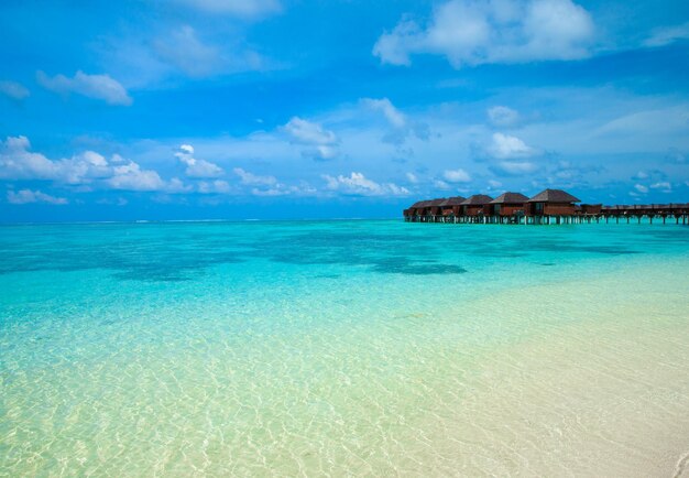 Tropischer Strand auf den Malediven mit wenigen Palmen und blauer Lagune