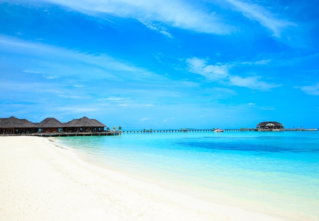 Tropischer Strand auf den Malediven mit wenigen Palmen und blauer Lagune