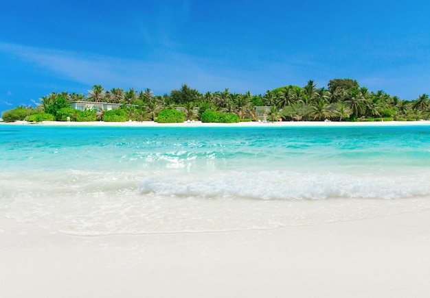 Tropischer Strand auf den Malediven mit wenigen Palmen und blauer Lagune